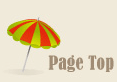 PageTop