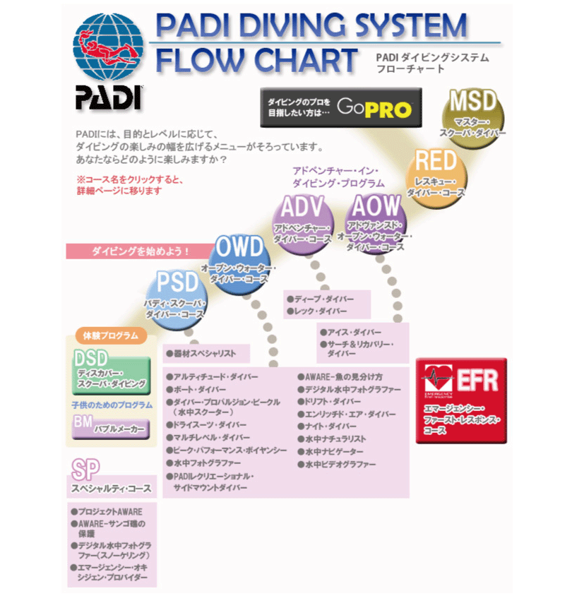 PADI DIVING SYSTEM FLOW CHART