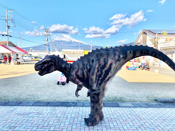 アモジュラシック